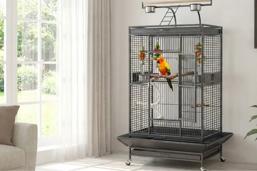 The Ultimate Guide to Choosing the Best Bird Cage Setup
